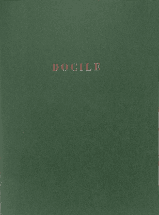 ae397c6c-0782-45be-9d9e-1750432645d8.pdf